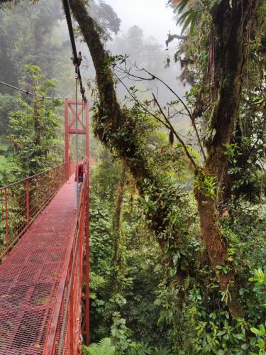 Kostarika - deštný prales Monteverde